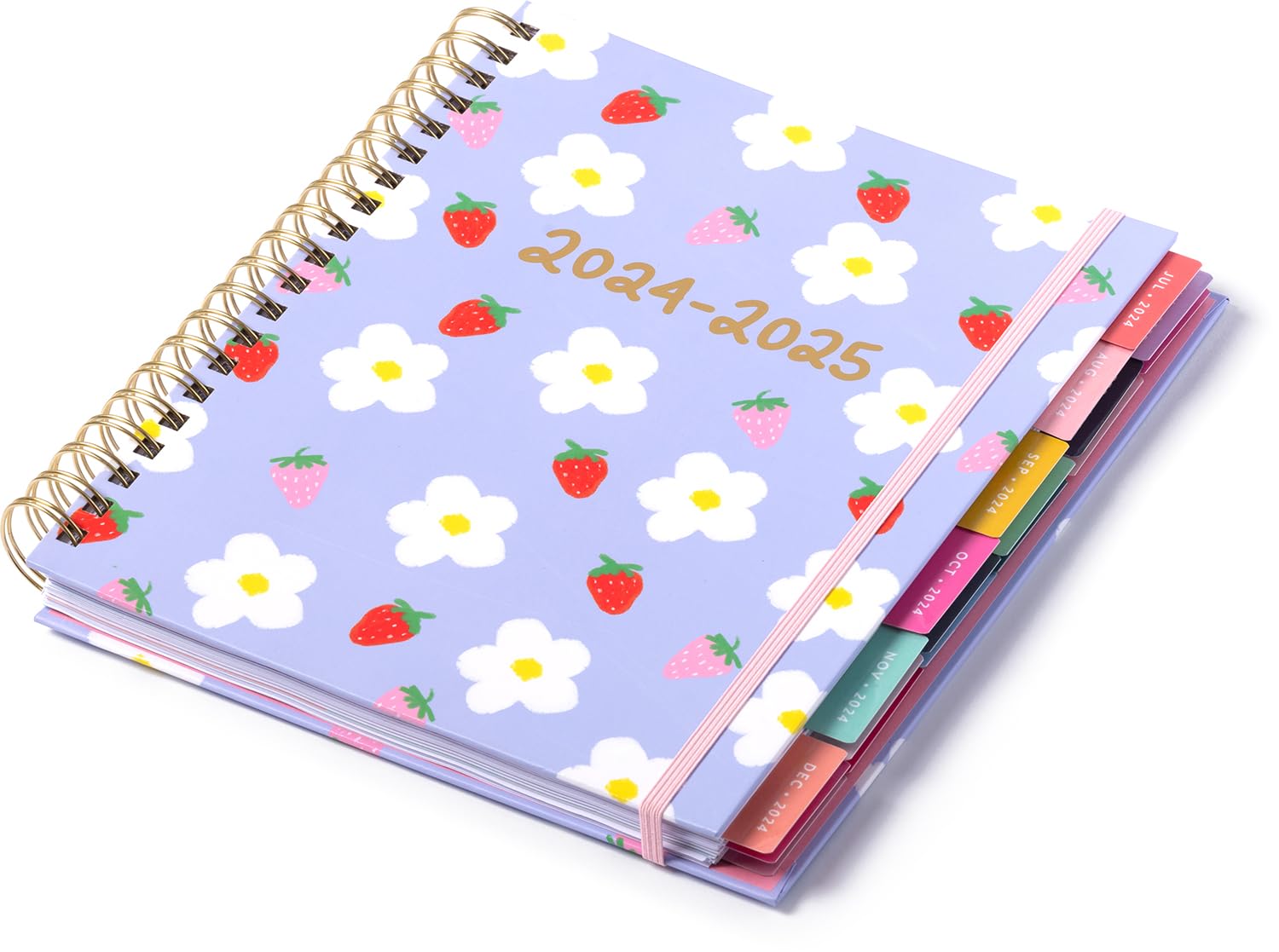 eccolo 2024 2025 planner