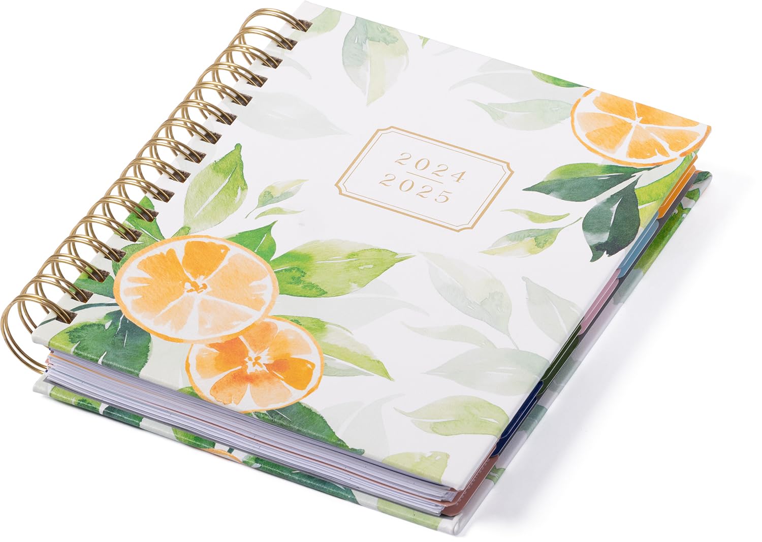 eccolo 2024 2025 planner