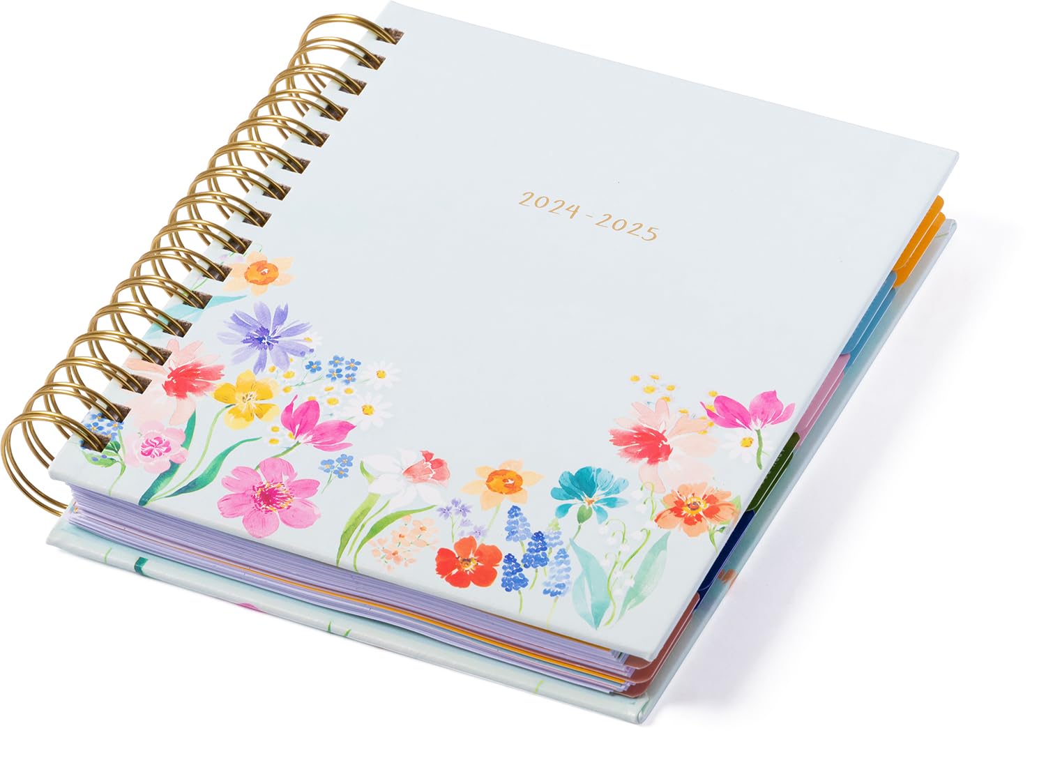 eccolo 2024 2025 planner