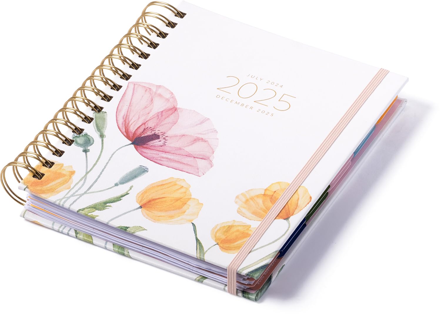 eccolo 2024 2025 planner