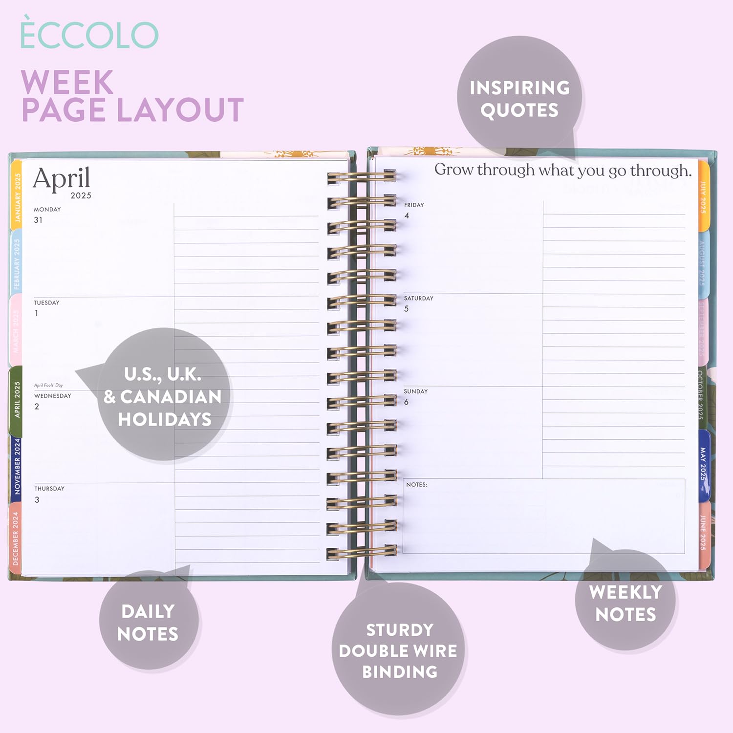 eccolo 2024 2025 planner