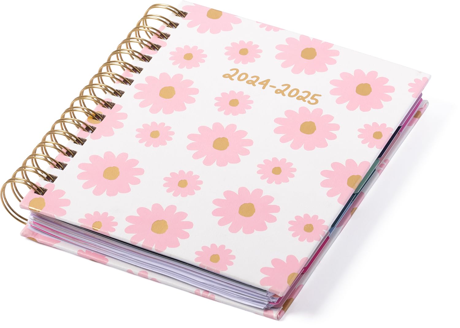 eccolo 2024 2025 planner