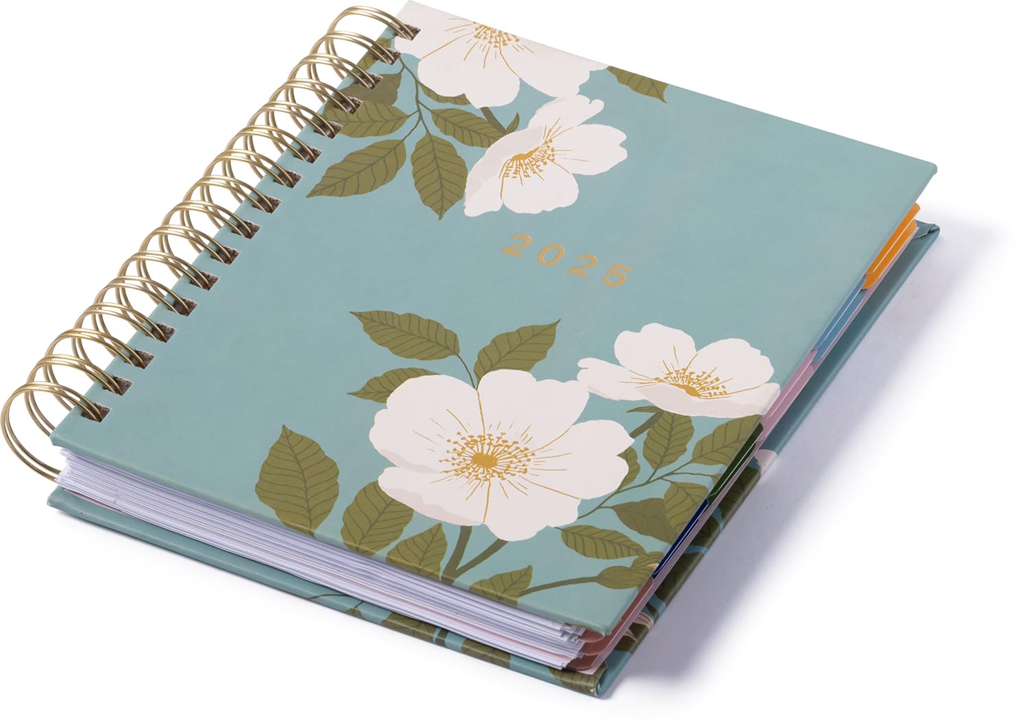 eccolo 2024 2025 planner