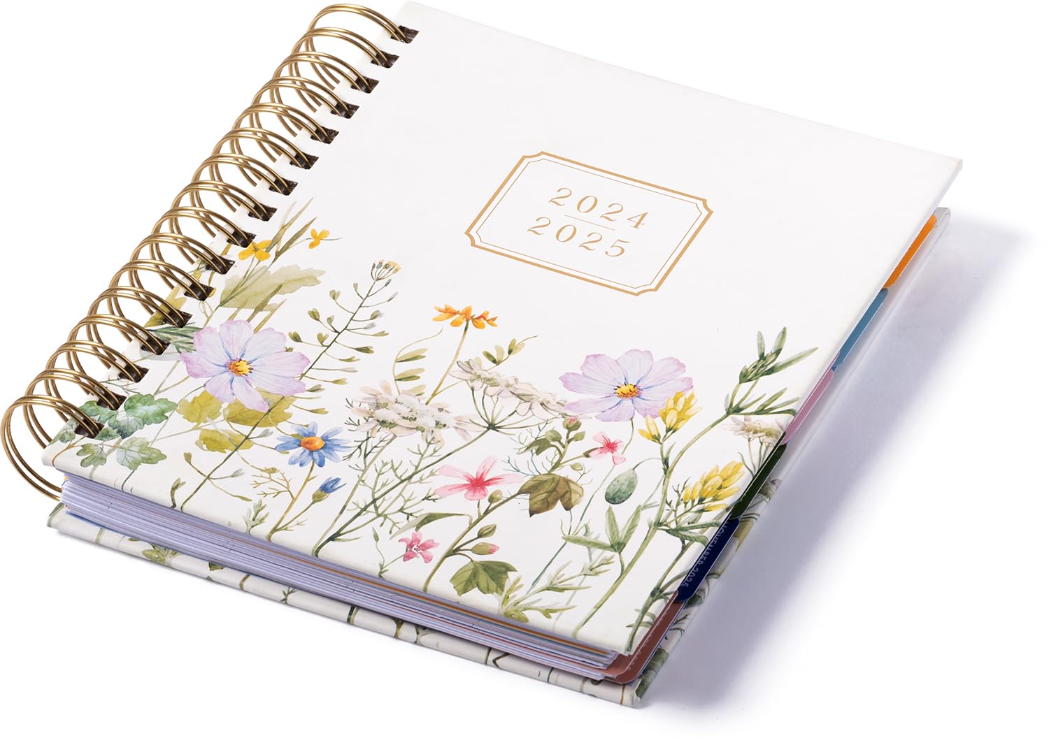 eccolo 2024 2025 planner