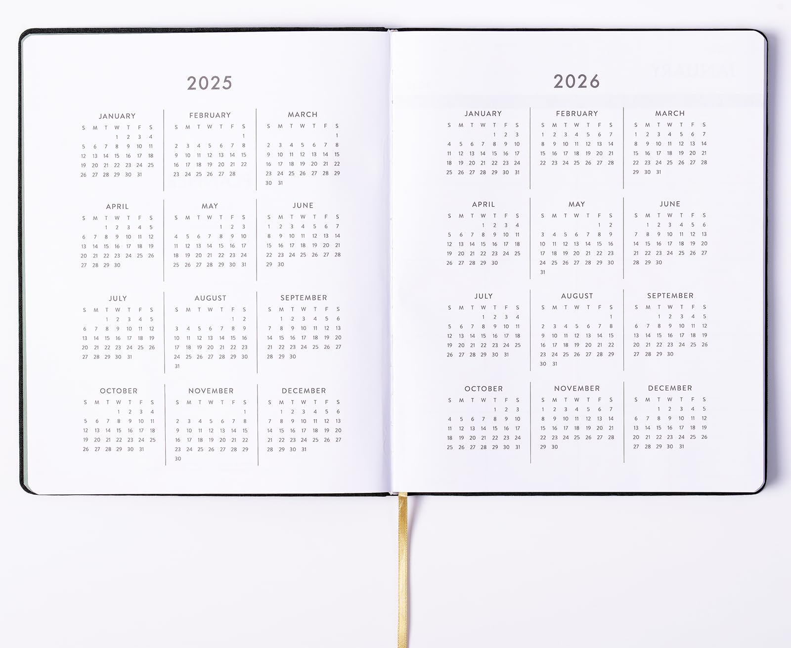 2025 eccolo 2025 planner