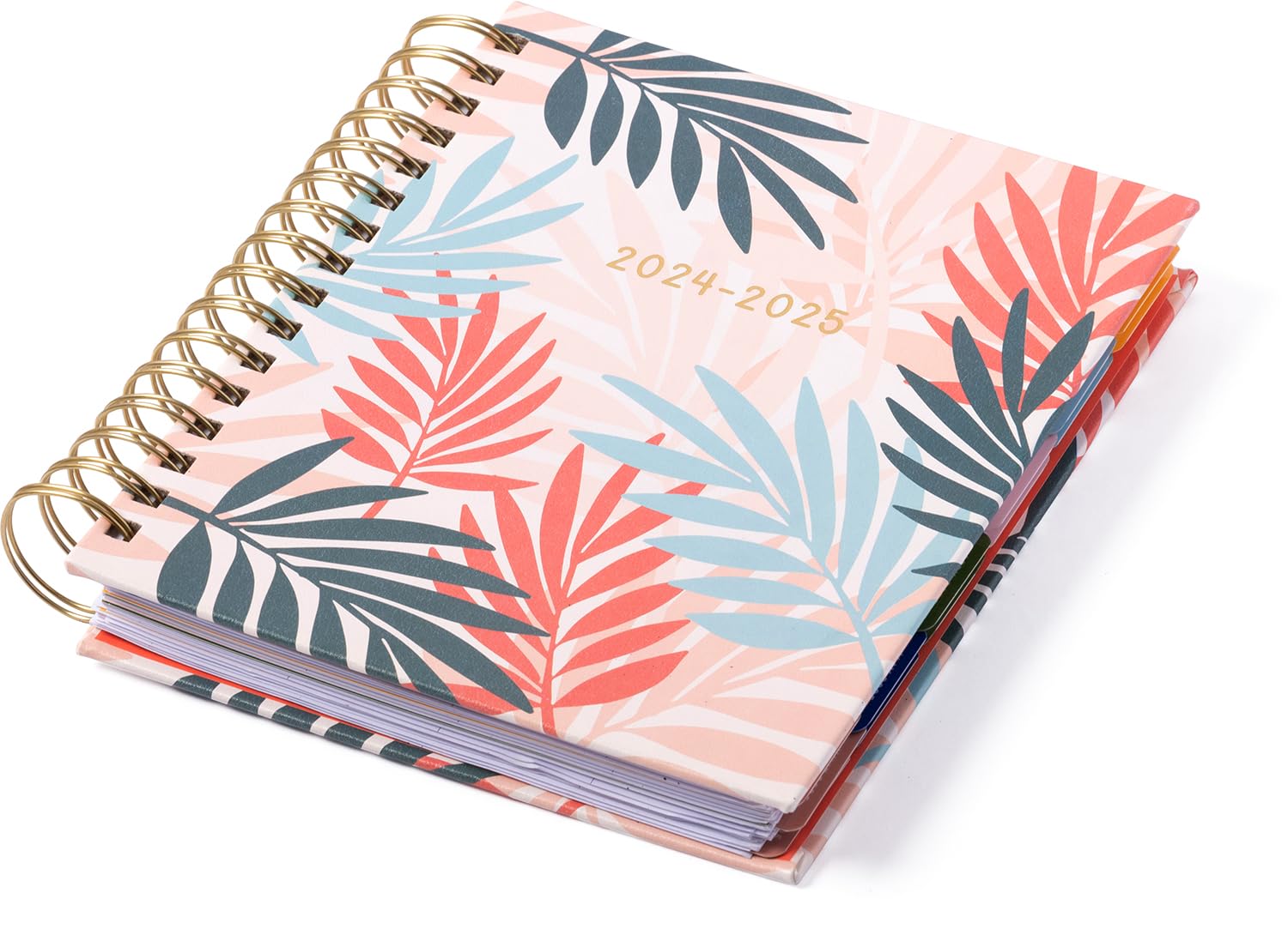 eccolo 2024 2025 planner