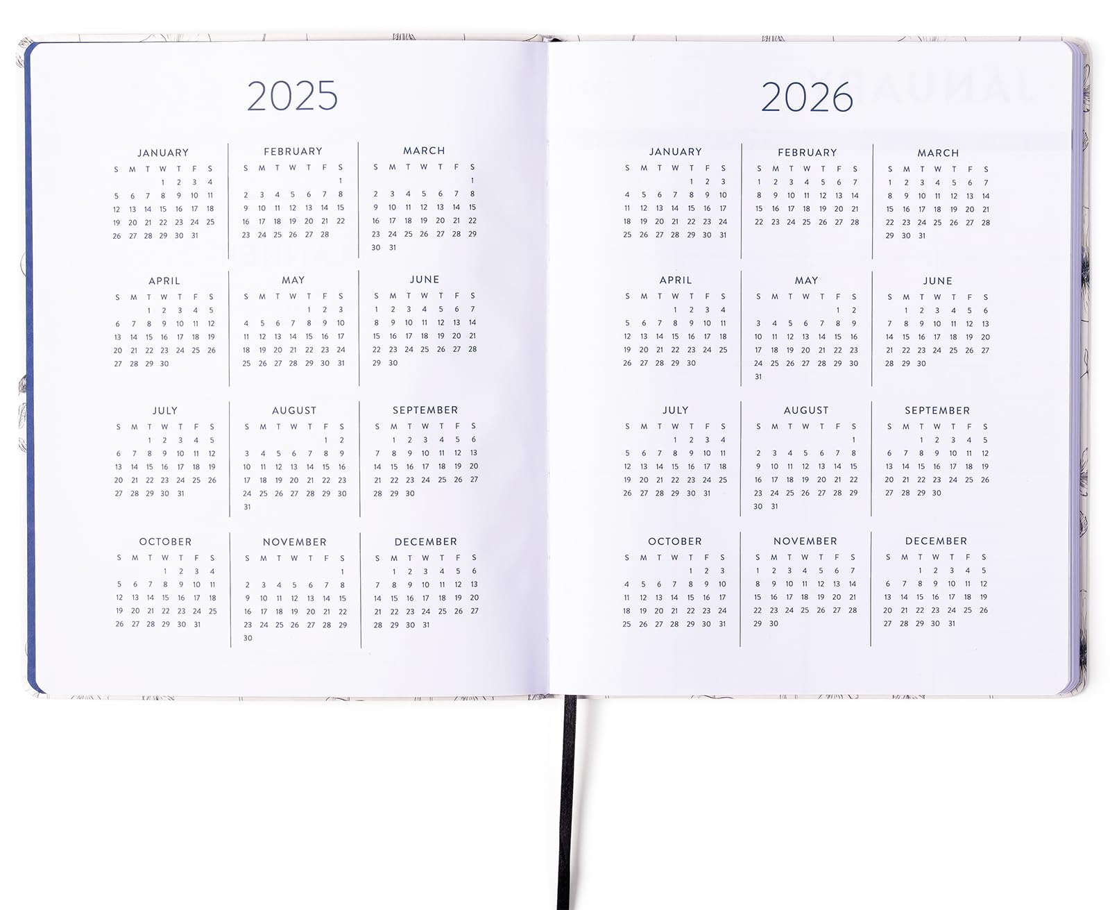 2025 eccolo 2025 planner