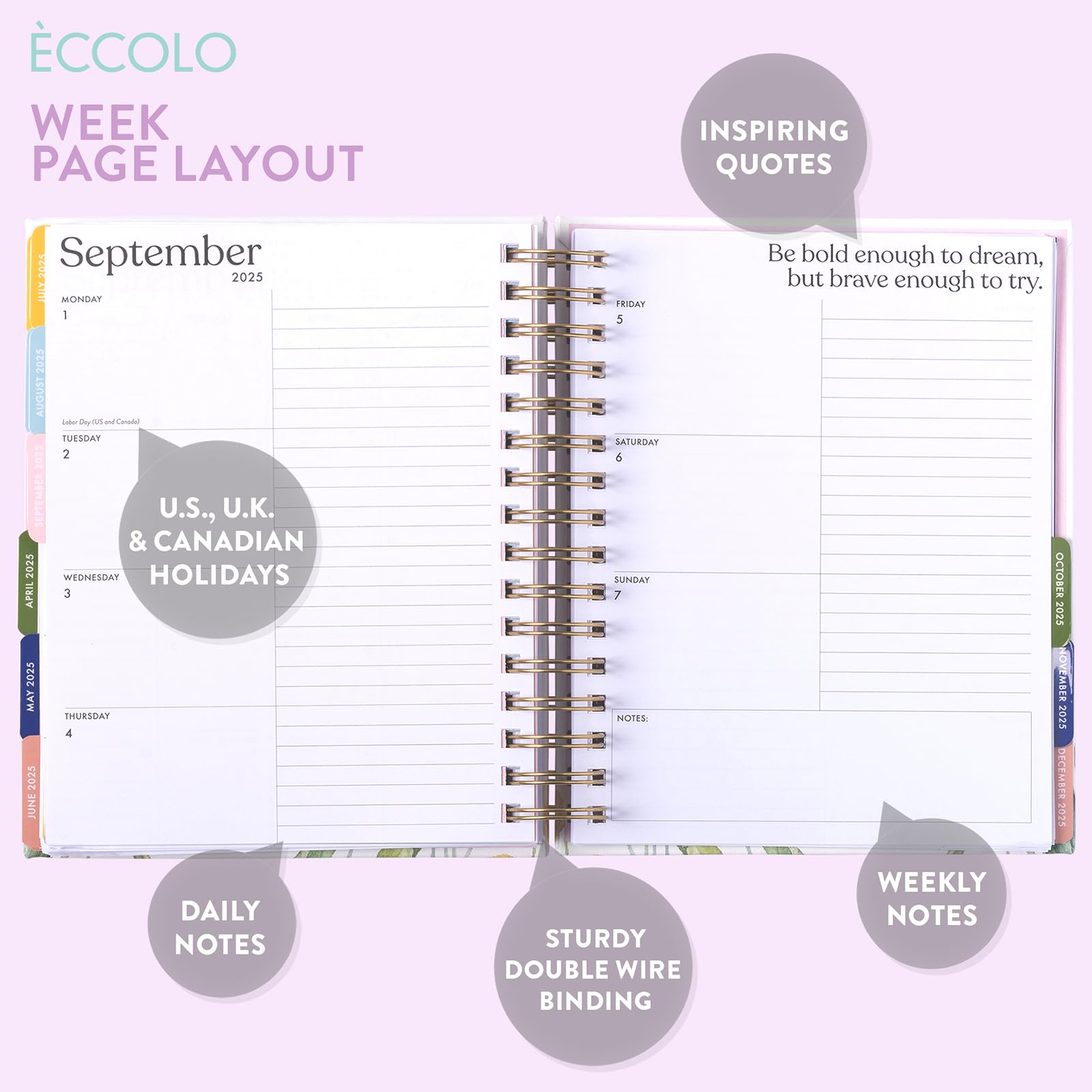 eccolo 2024 2025 planner