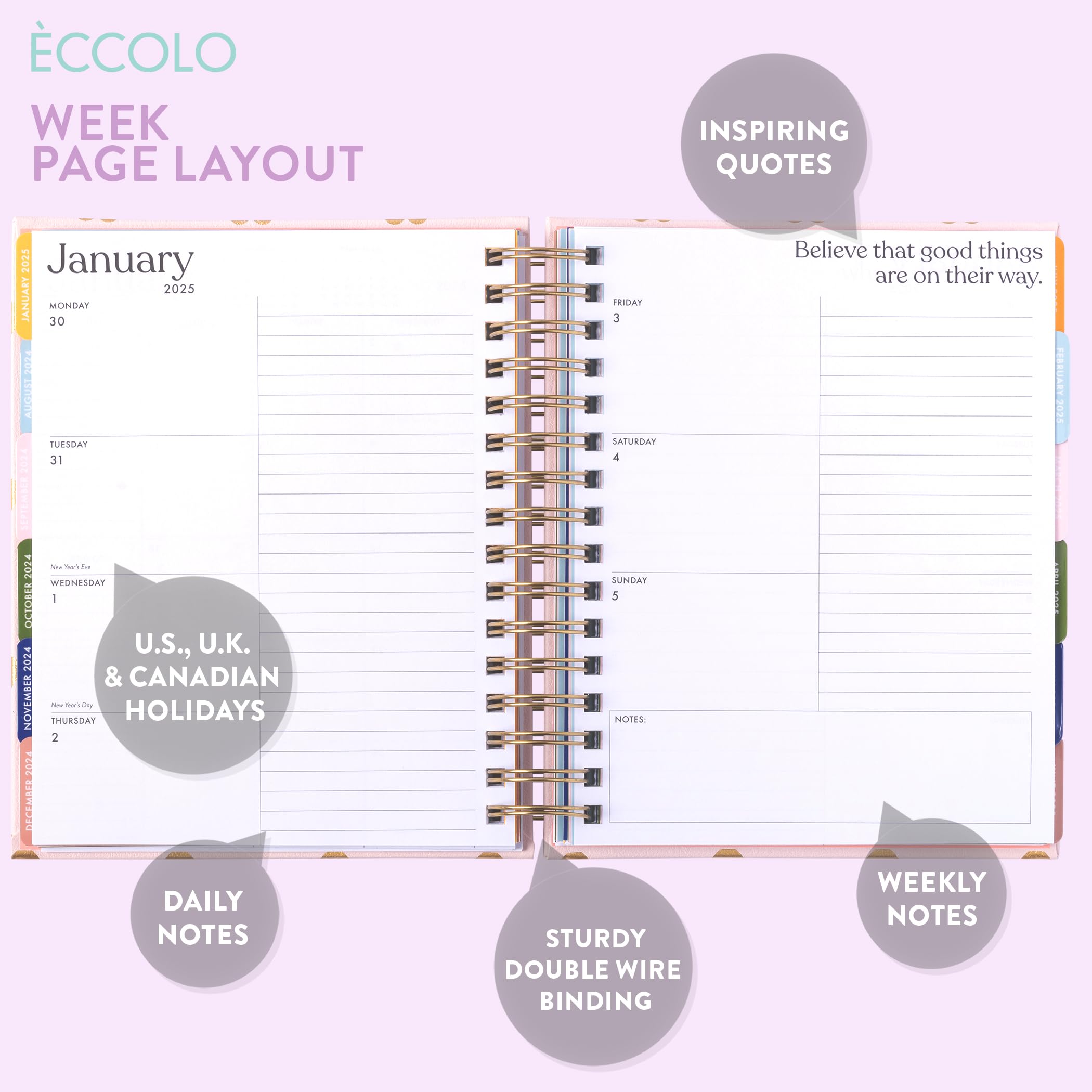 eccolo 2024 2025 planner