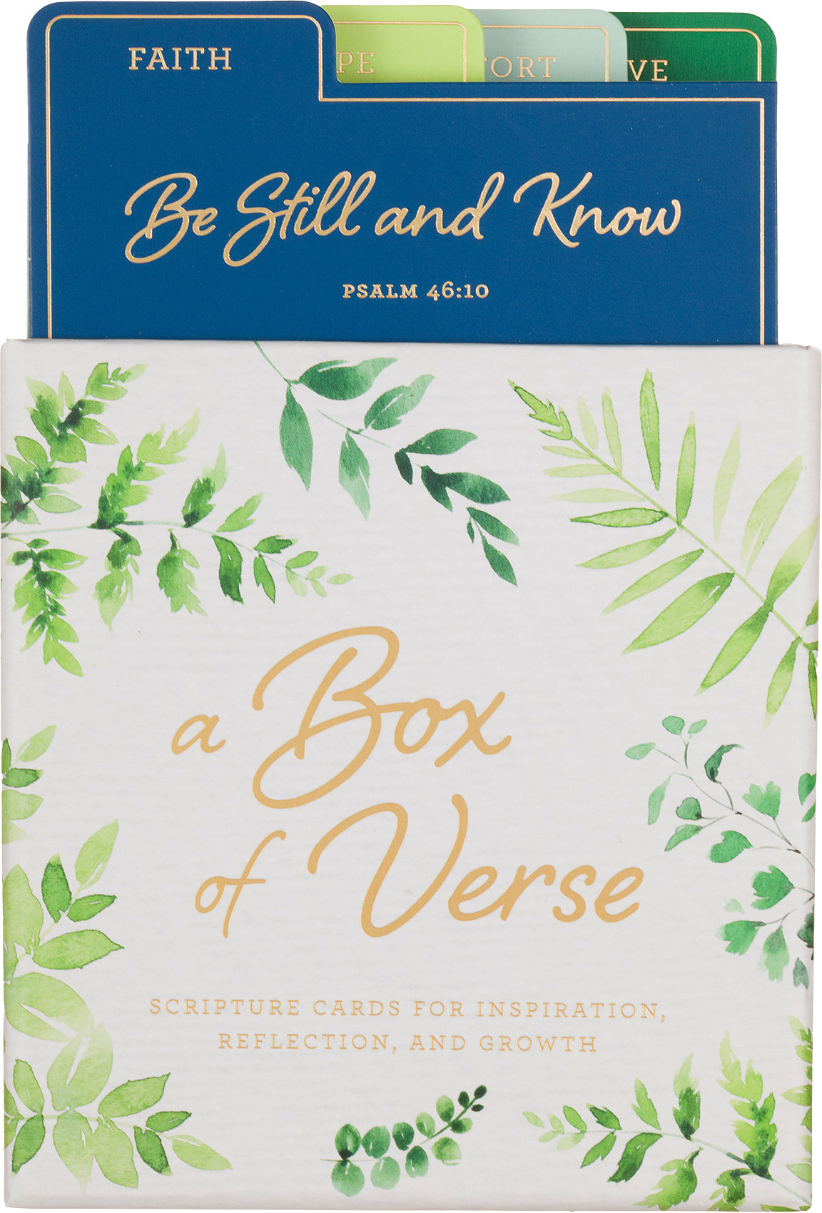 Heatherlee Chan Box of Verse Prayer Cards Ferns